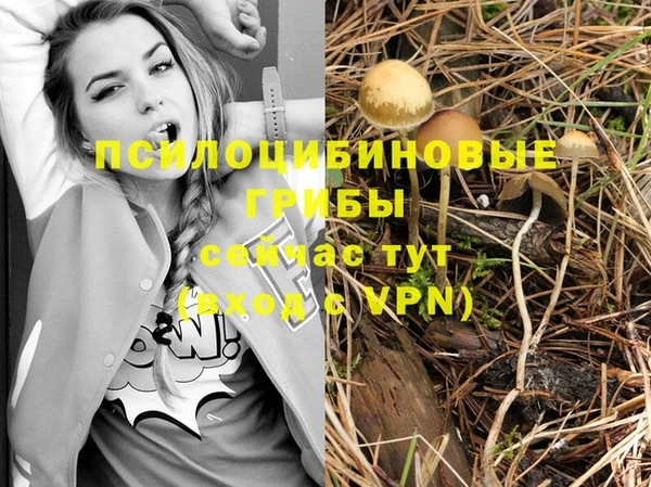 кокаин премиум Беломорск