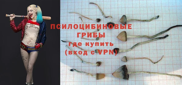 стафф Балабаново