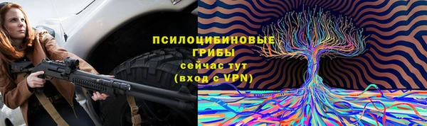 apvp Балахна