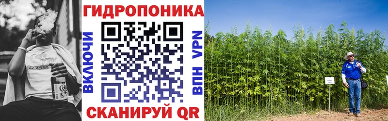 магазин    Билибино  Каннабис тримм 
